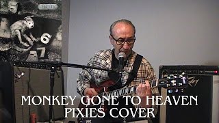 MONKEY GONE TO HEAVEN  PIXIES cover [upl. by Edme779]