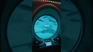 Real submarine  No simulation the real experience in tenerife [upl. by Latsyek201]