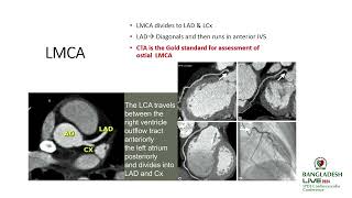 A practical Guide to Read CT Coronary Angiograms— How to avoid mistakes by Dr Sanjiv Sharma [upl. by Zebapda]