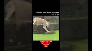 سبحان الخالق العظيم 😨😇 اكسبلور كيفيه علمالنفس شعر [upl. by Summer]