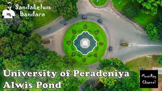 University of Peradeniya  Alwis Pond අල්විස් පොකුණ  Episode 1 [upl. by Ardis]