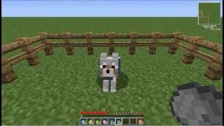 Minecraft Dare il colore al collare del cane Minecraft wolf collar dye [upl. by Shieh159]