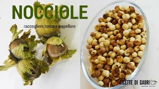 NOCCIOLE come tostare e rimuovere la pellicina KITCHEN BRASITA Ricette di Gabri [upl. by Crocker]