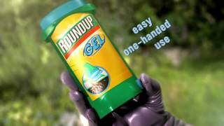 How To Use Roundup Gel  Video  Roundup Weedkiller [upl. by Akinnej980]