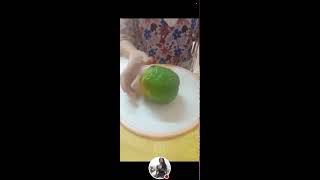 Bergamot Orange Peeling And Cutting [upl. by Lletnom113]