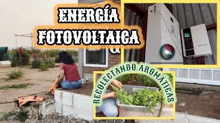 93‼️ENERGÍA LIMPIA🌞INCENDIO FORESTAL🔥PRIMEROS LOGROS🌵vlog panelessolares [upl. by Leiram259]