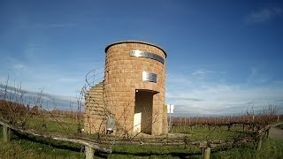 Rundgang in den Weinbergen von Hochstadt Pfalz HD [upl. by Liw]