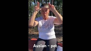 Basic Auslan with Deaf Auslan tutor Amy  pet South dialect Auslan auslan [upl. by Einnov]