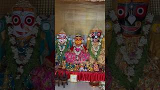 Top Jagannath Idol viral top top10 top5 idol ytshorts yt [upl. by Fira518]