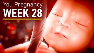 28 Weeks Pregnant Pregnancy week 28 fetal development [upl. by Oicafinob]