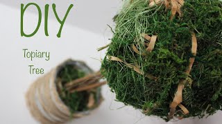 DIY Topiary Tree  Топиарий своими руками  Easy Moss Topiary  Tutorial [upl. by Oidivo528]