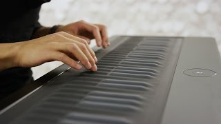 Multitrack Seaboard GRAND performance [upl. by Notna]