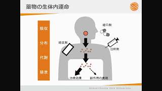 研究室紹介｜薬剤学・製剤学分野（薬学科）2 [upl. by Yerfoeg]