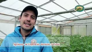 Video de Corporación Hortícola Nacional [upl. by Yelkreb63]