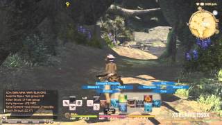 Final Fantasy XIV A Realm Reborn  Thaumaturge Hunting Log Rank 3 [upl. by Kwang]