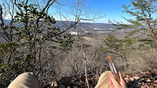 Becalmed cliff side harmonica [upl. by Langille]