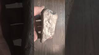 Real Pure Gold Meteorite 2k views thats all Stupid videos have millions of viewings Stupid People [upl. by Trout]