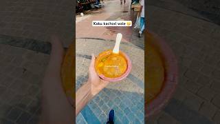 😋 short shorts shortsvideo trendingshorts kachoriwala cpdelhi vlog vlogs minivlog vlogger [upl. by Georas]