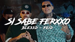 Blessd Feid  SI SABE FERXXO VideoLetras [upl. by Rigby988]