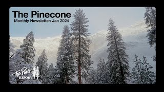 The Pine Cone  Newsletter January 2024 [upl. by Afatsom]