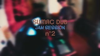 Sumac Dub  Jam Session 2 violin and dusty vinyl [upl. by Nami]