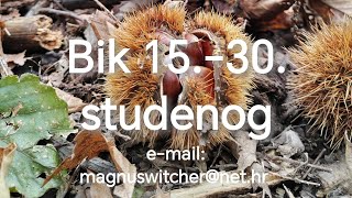 Bik 1530 studenognovembra [upl. by Ived87]