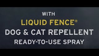 How to Keep Stray Dogs and Cats Out of Your Yard – Liquid Fence® [upl. by Gardol]