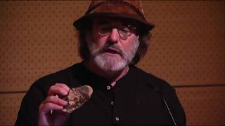 Paul Stamets Mushrooms for People and Planet Ancient Allies for Modern Maladies [upl. by Suzan]