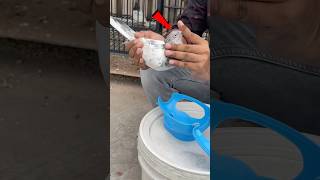 How to use a pigeon holder 🕊️✅  pigeon kalapati kabutar shorts [upl. by Atnuahsal]