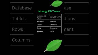 MongoDB Terms vs General Database Terms 🚀  Quick Guide [upl. by Lang912]