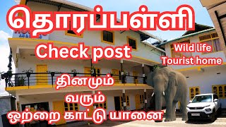 🔥Thorapalli  check post  wildlife tourist home  vinothvlog [upl. by Collbaith995]