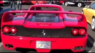 Ferrari F50 Accelerate Rare WOW [upl. by Magree929]