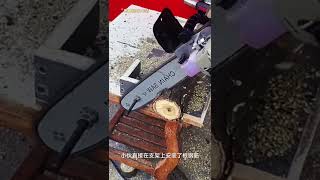 Powerful yet precise cuttingchainsaws hardwaretools viralvideo foryou [upl. by Emelyne409]