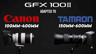 GFX 100 II Telephoto Lenses  Canon 100400mm and Tamron 150600mm [upl. by Hitchcock982]