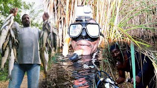 crocodile swamp fishing story time 🐊 give man seven stitches woman gave man bun😲 [upl. by Helyn123]