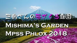 三島さんちの芝ざくら庭園 2018 [upl. by Arim849]