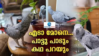 Talking Parrot  അതിഥിയായെത്തിയ കുട്ടൂസ് എന്ന തത്ത പറയുന്നത് കേട്ടോ [upl. by Nivart945]