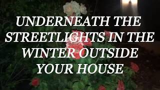 Wallows  Underneath the Streetlights in the Winter Outside Your House Lyric Video [upl. by Urata]