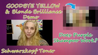 Blue AND Purple Shampoo on BRASSY Blonde Hair  Blonde Hair Hacks  Goodbye YELLOW [upl. by Alduino]