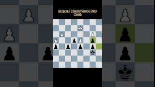 quotEndgame Blunder Turns a Winning Game into a Draw chess chessblunder chessgame [upl. by Eniale]