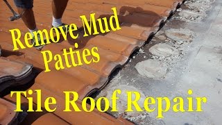 Removing Mud Patties  Concrete Tile Roofing Repair [upl. by Quirita]