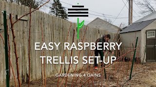 Easy Raspberry Trellis Set Up [upl. by Corkhill]