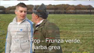 Flaviu Pop  Frunza verde iarba grea cu dedicatie pt Vasi Micle [upl. by Liek]