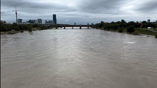 Neue Donau am 16 September 2024  Hochwasser 2024 [upl. by Hesoj]