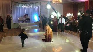 Oxana Bazaeva 2019  Egyptian wedding [upl. by Nosidam6]