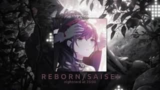 N25  RebornSaisei slowed  reverb [upl. by Nilcaj]