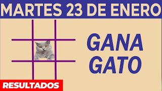 Sorteo Gana Gato del Martes 23 de Enero del 2024 [upl. by Acinorrev]