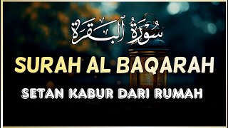 SURAH ALBAQARA  Setan kabur Dari Rumah  Penning Hati dan Pikiran by Ebraheem Abdulmoniem [upl. by Maxy]