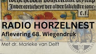 Radio Horzelnest  Aflevering 68 Wiegendruk [upl. by Sharona]