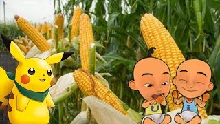 Lagu Anak Menanam Jagung Upin Ipin Tayo Pokemon Pikachu [upl. by Nonnad]